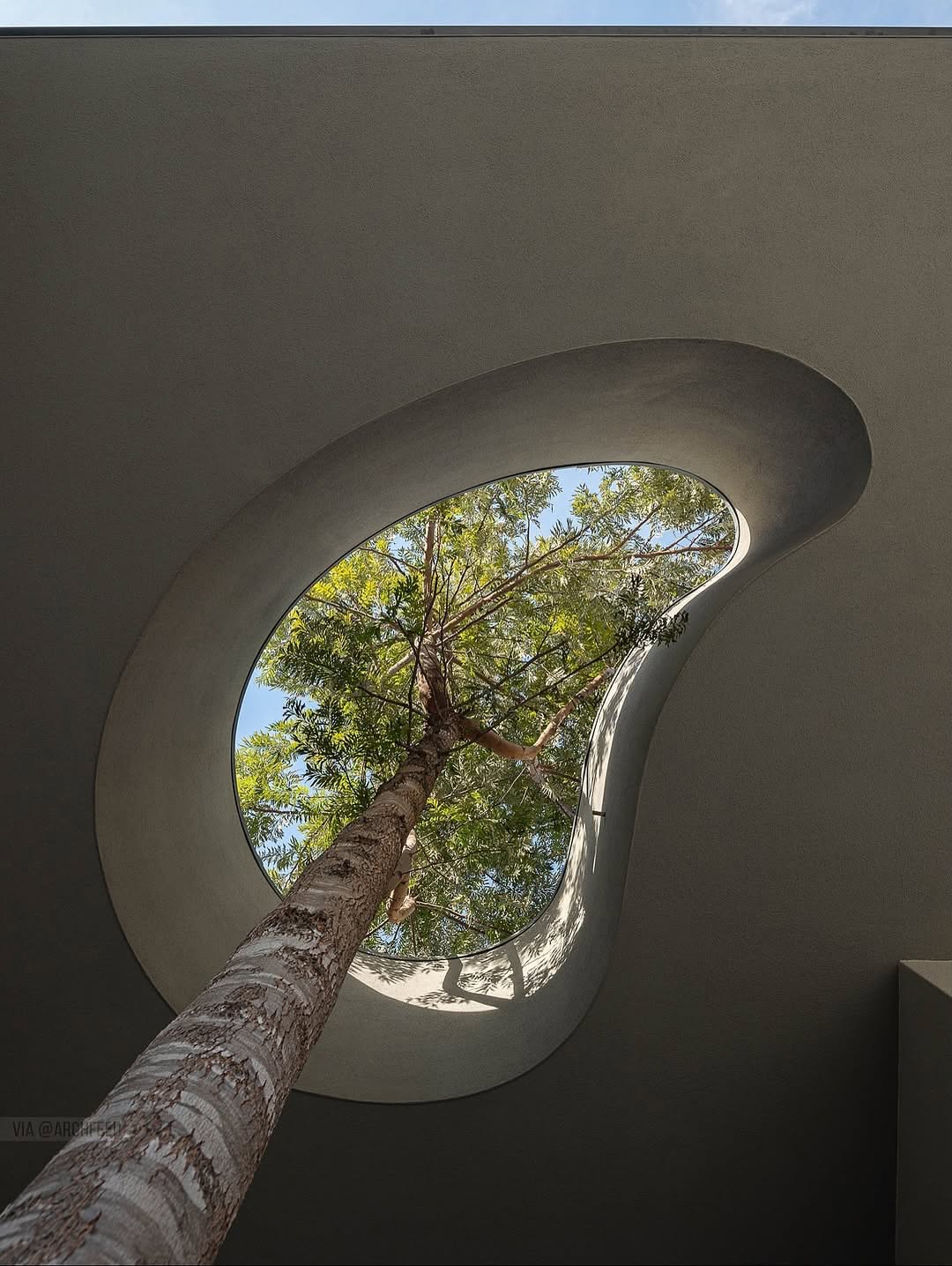 photo_2025-11-04_11-38-08 (2)