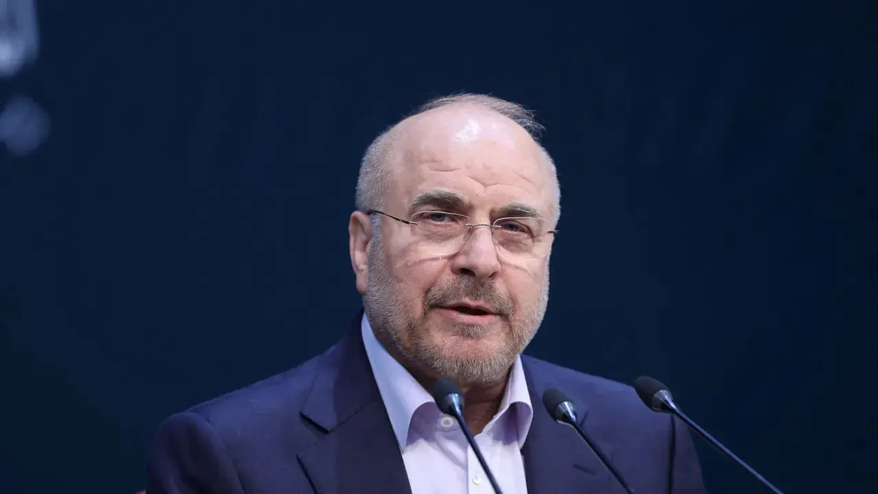 photo_2026-04-15_03-55-21