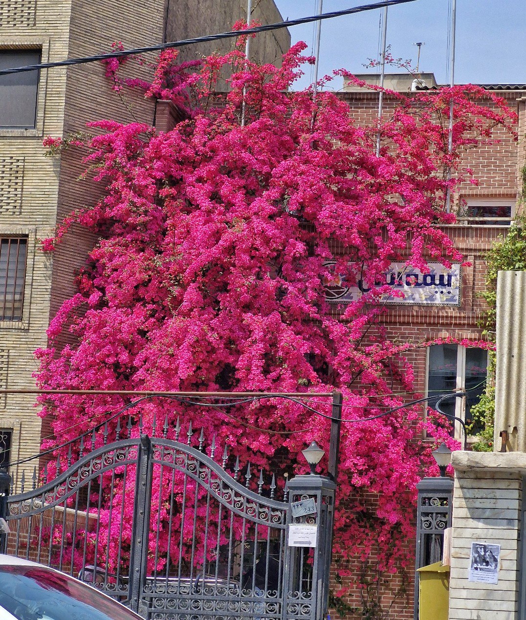 تصویری از یک خانه رویایی که دل مردم تهران را با خودش برد