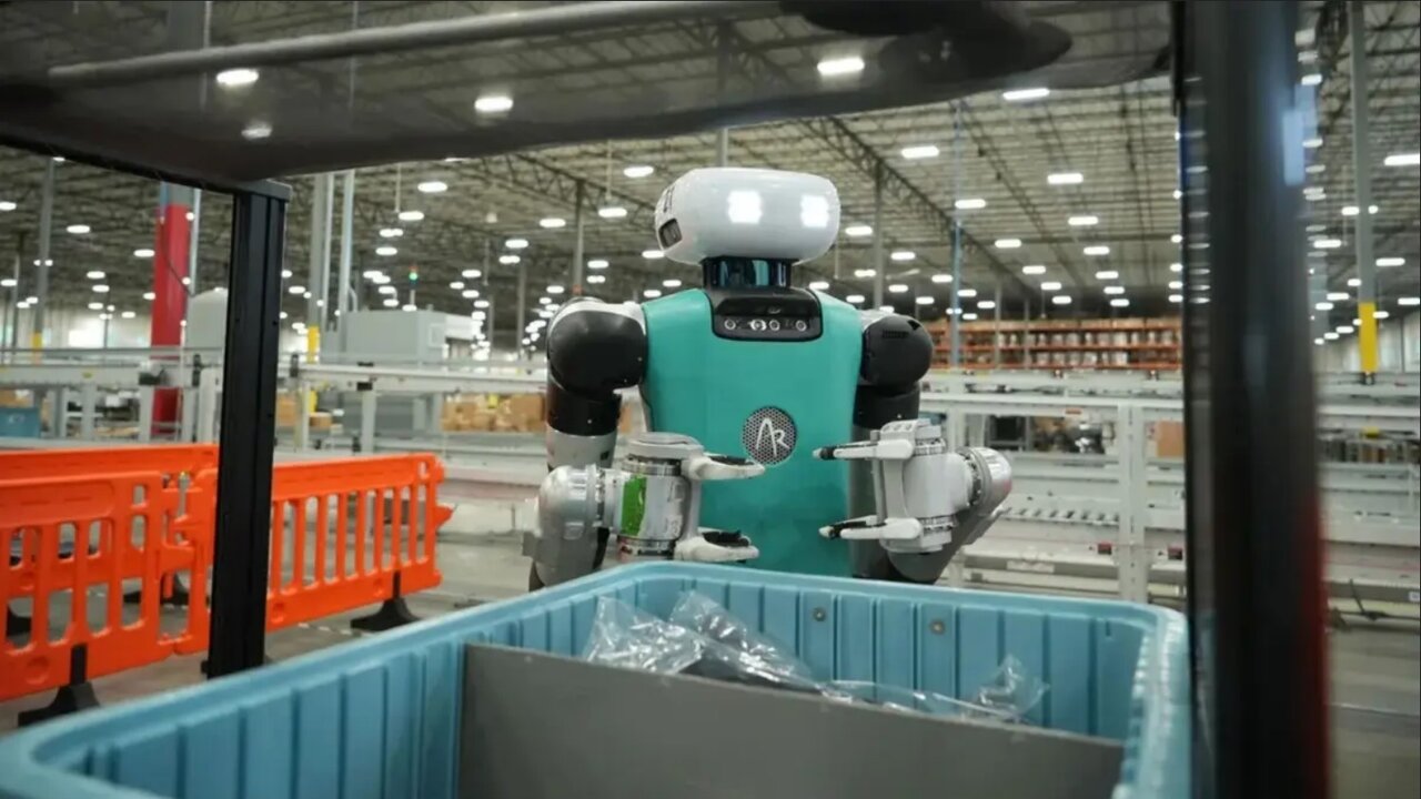 6313113