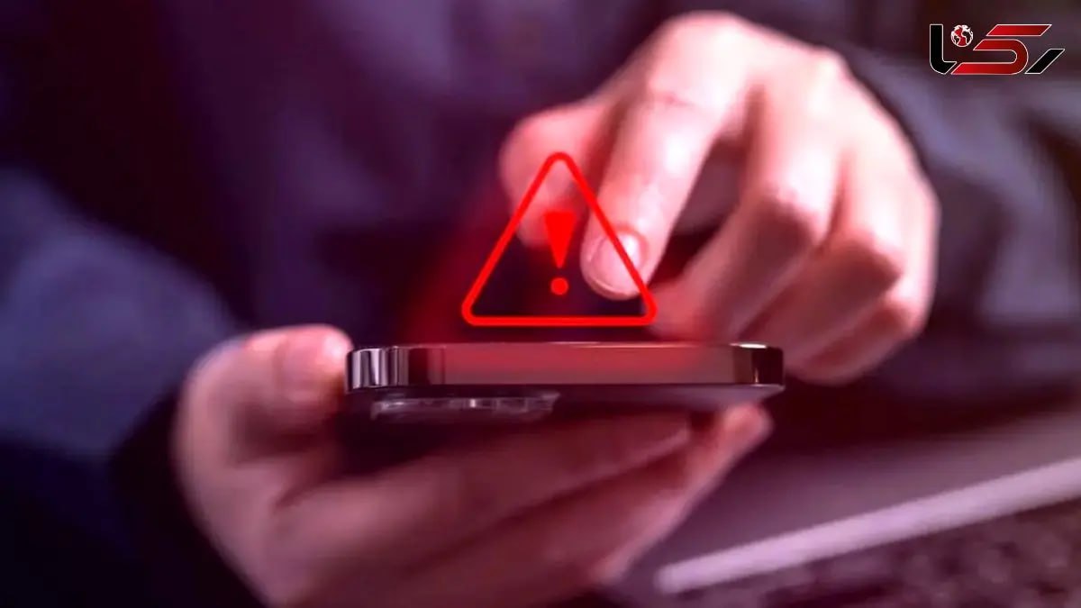 photo_2025-11-14_00-41-14