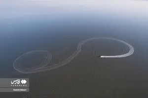 cd872d4de4b04bc0ac9e7d176a30e60a