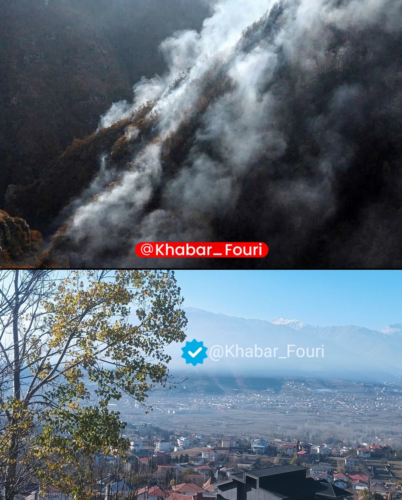 photo_2025-11-22_12-30-09