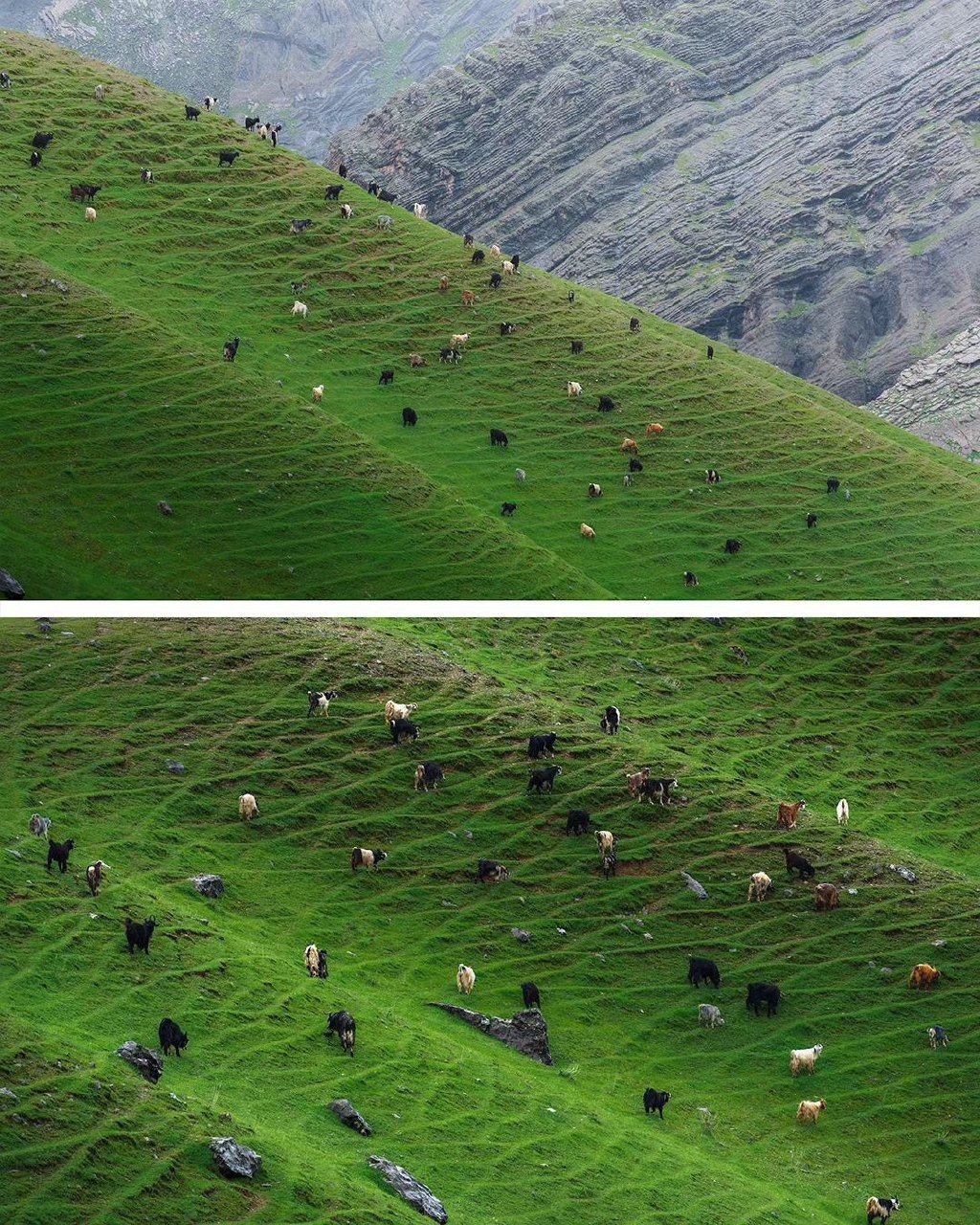 تصاویری زیبا از بهشتی در مرز لرستان و خوزستان