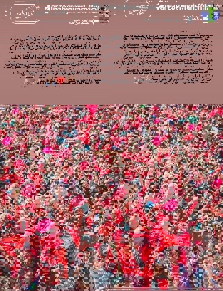 iwirbezk0