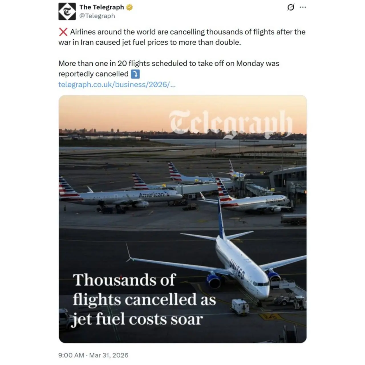 photo_2026-03-31_22-12-33