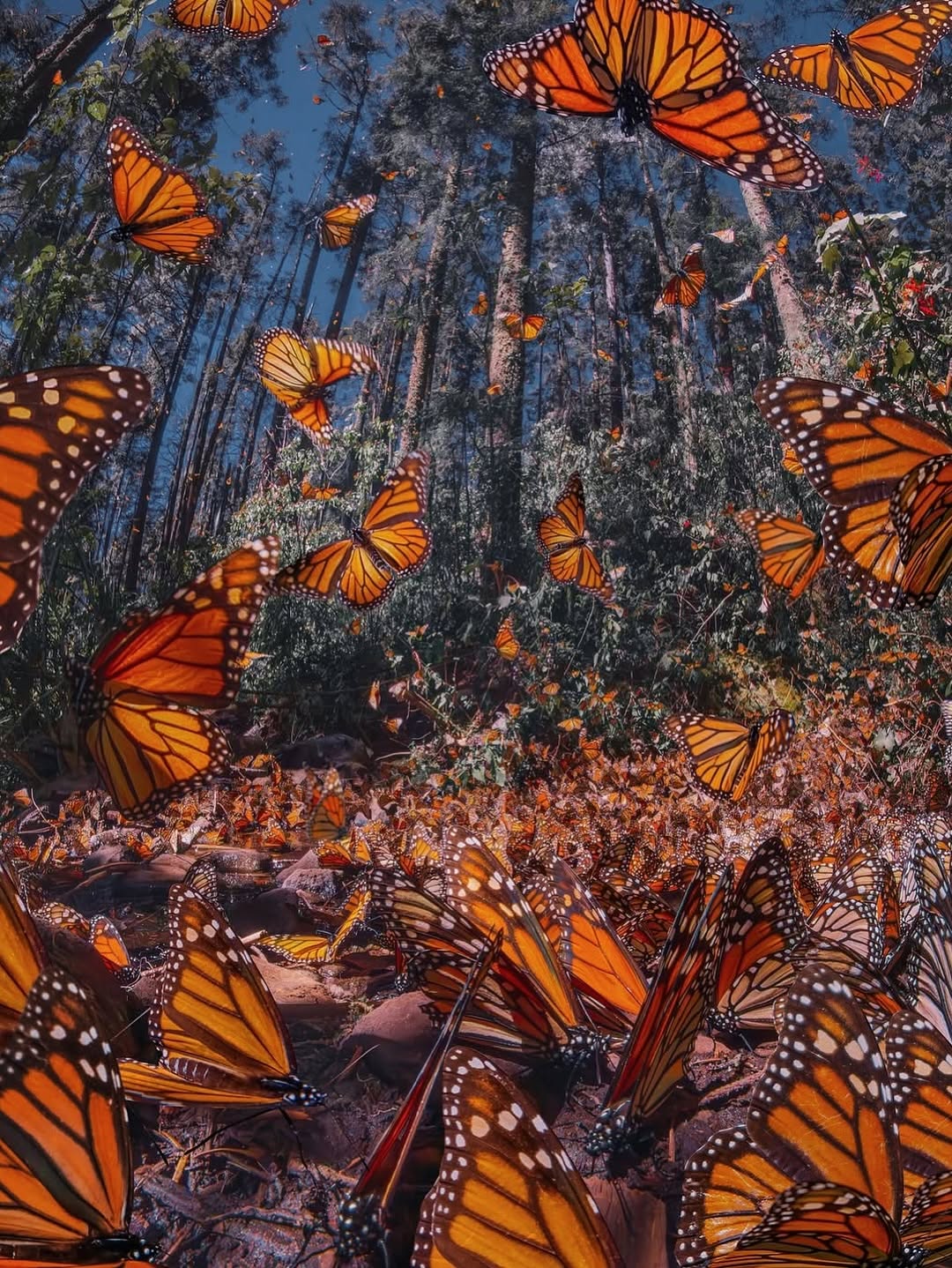 572484744_18552172075044850_7458420720087721679_n