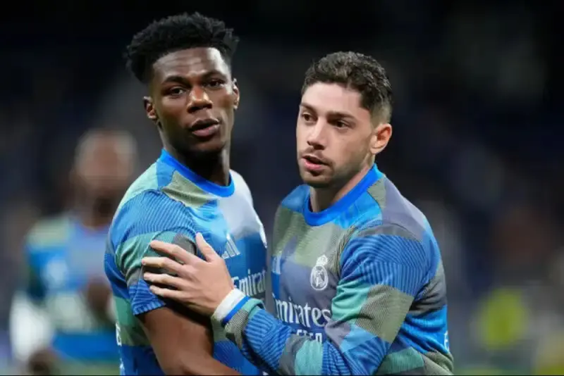 44