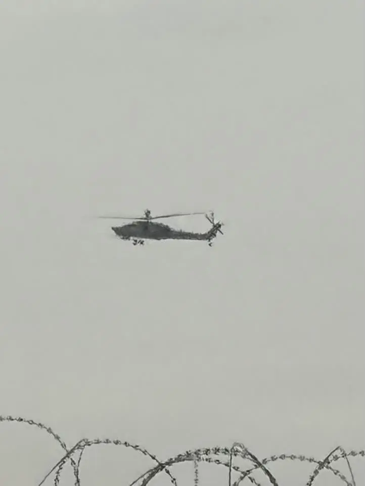 photo_2026-02-04_00-48-11