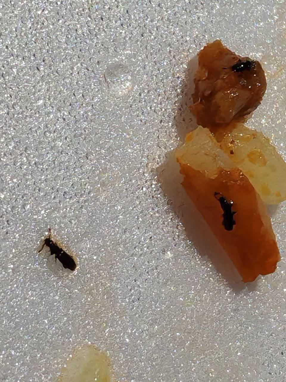 photo_2025-11-10_10-33-44