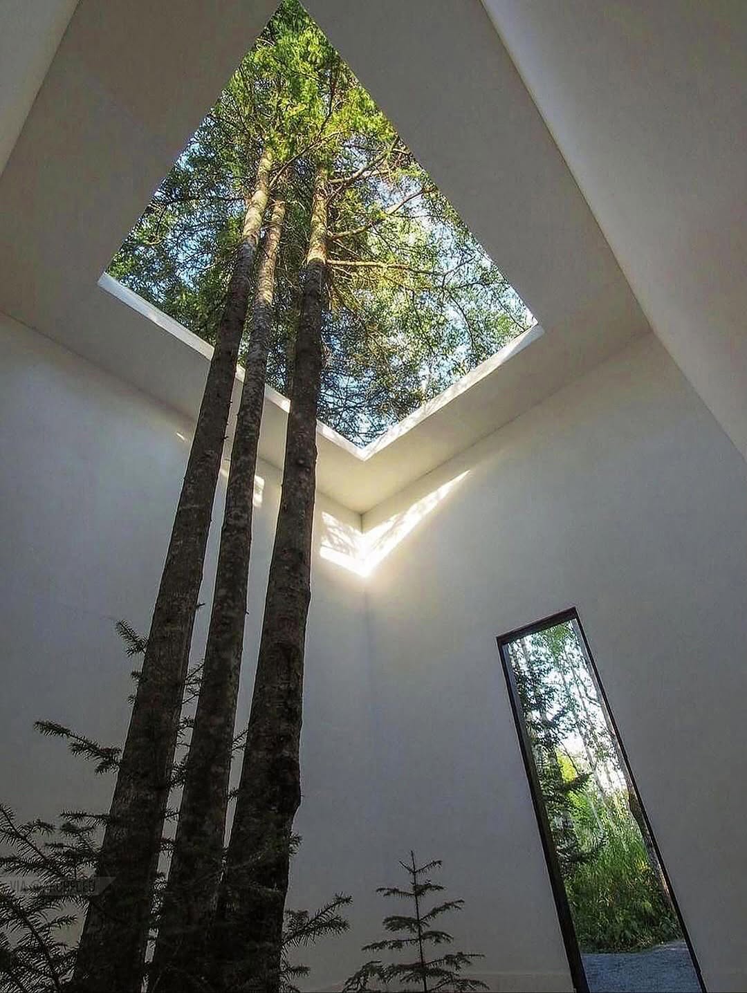 photo_2025-11-04_11-38-09