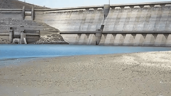 0070ea3043ab46d1ae0c6c0f3b6b9b29