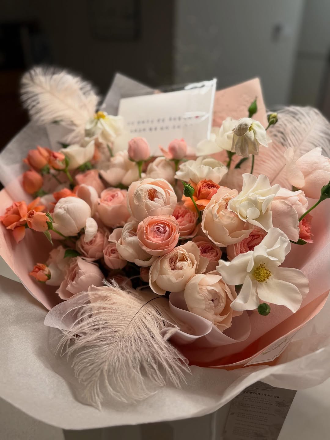 photo_2025-10-29_09-46-37