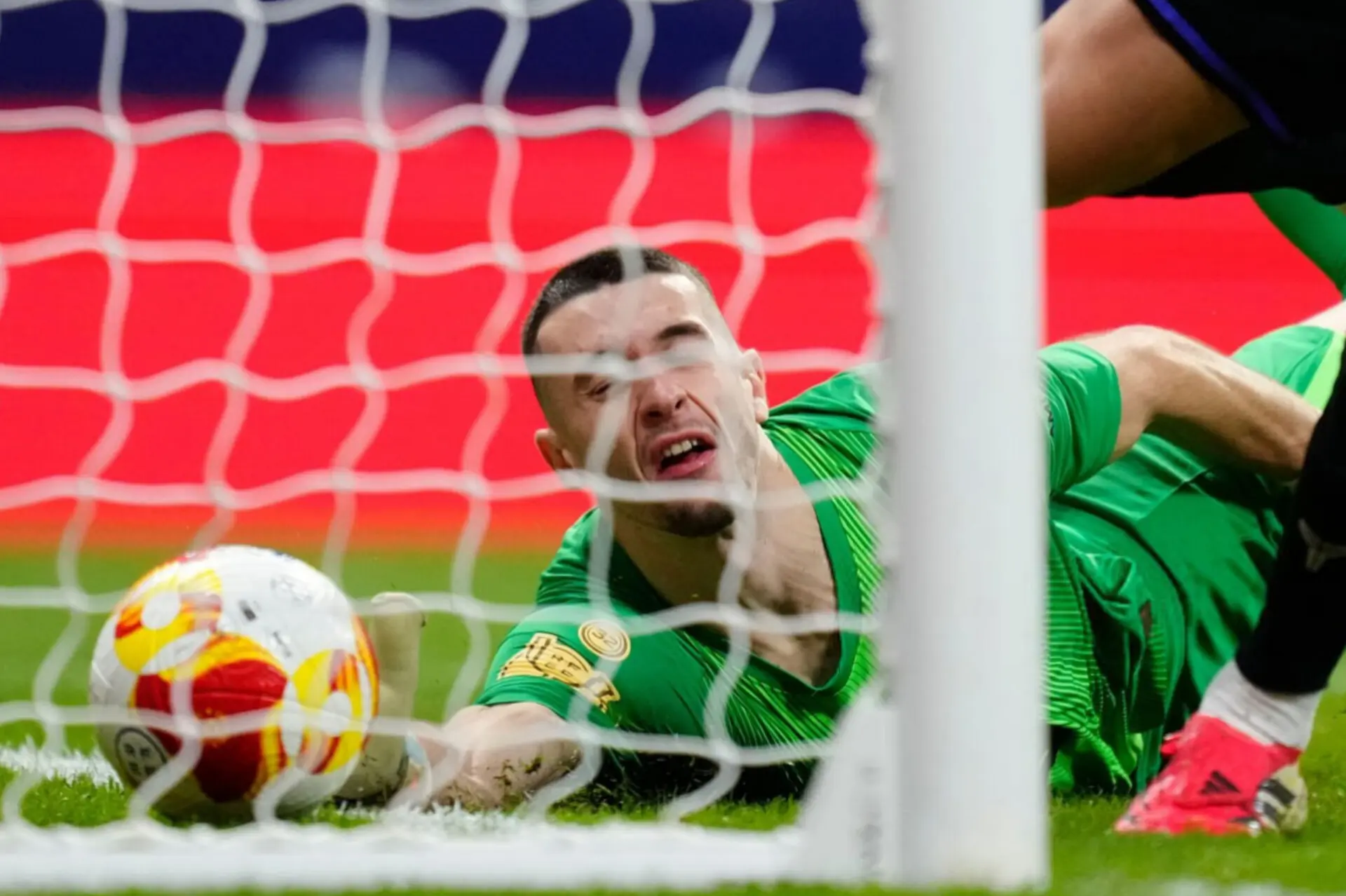 InShot_20260213_012529156