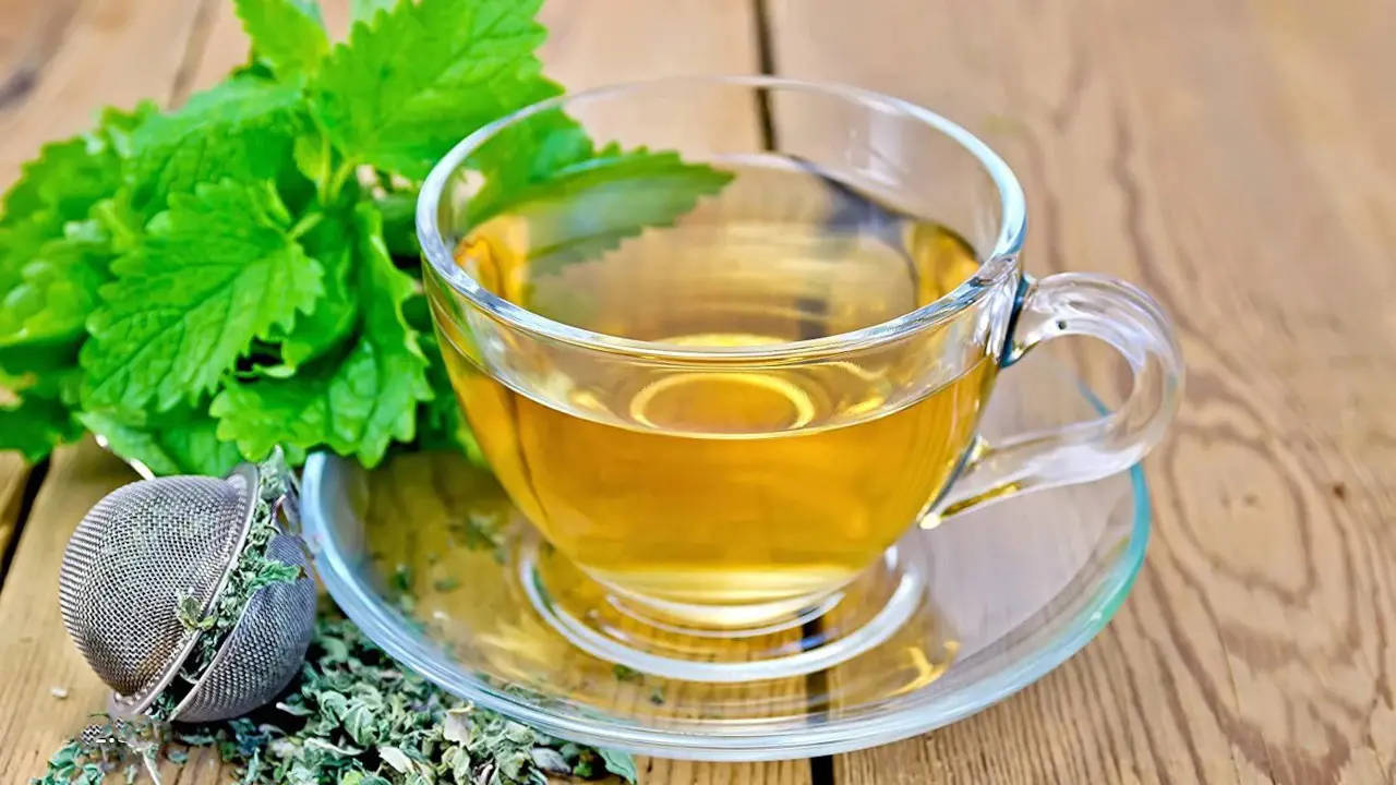فواید-و-خواص-دمنوش-گیاهی-بادرنجبویه-و-طرز-تهیه-آن