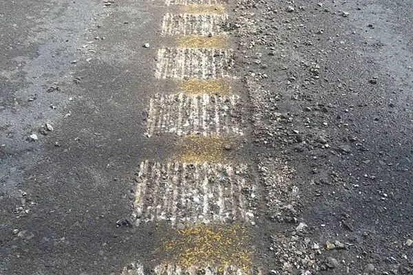 173008244