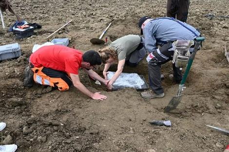 کشف گنج سه‌ هزار و پانصد ساله در مرزعه هویج