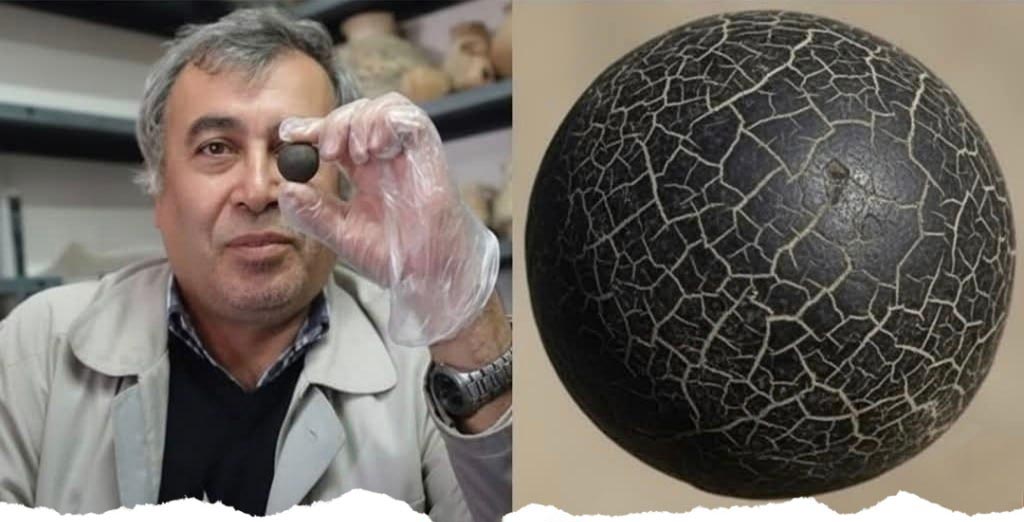 photo_2025-11-04_10-39-38