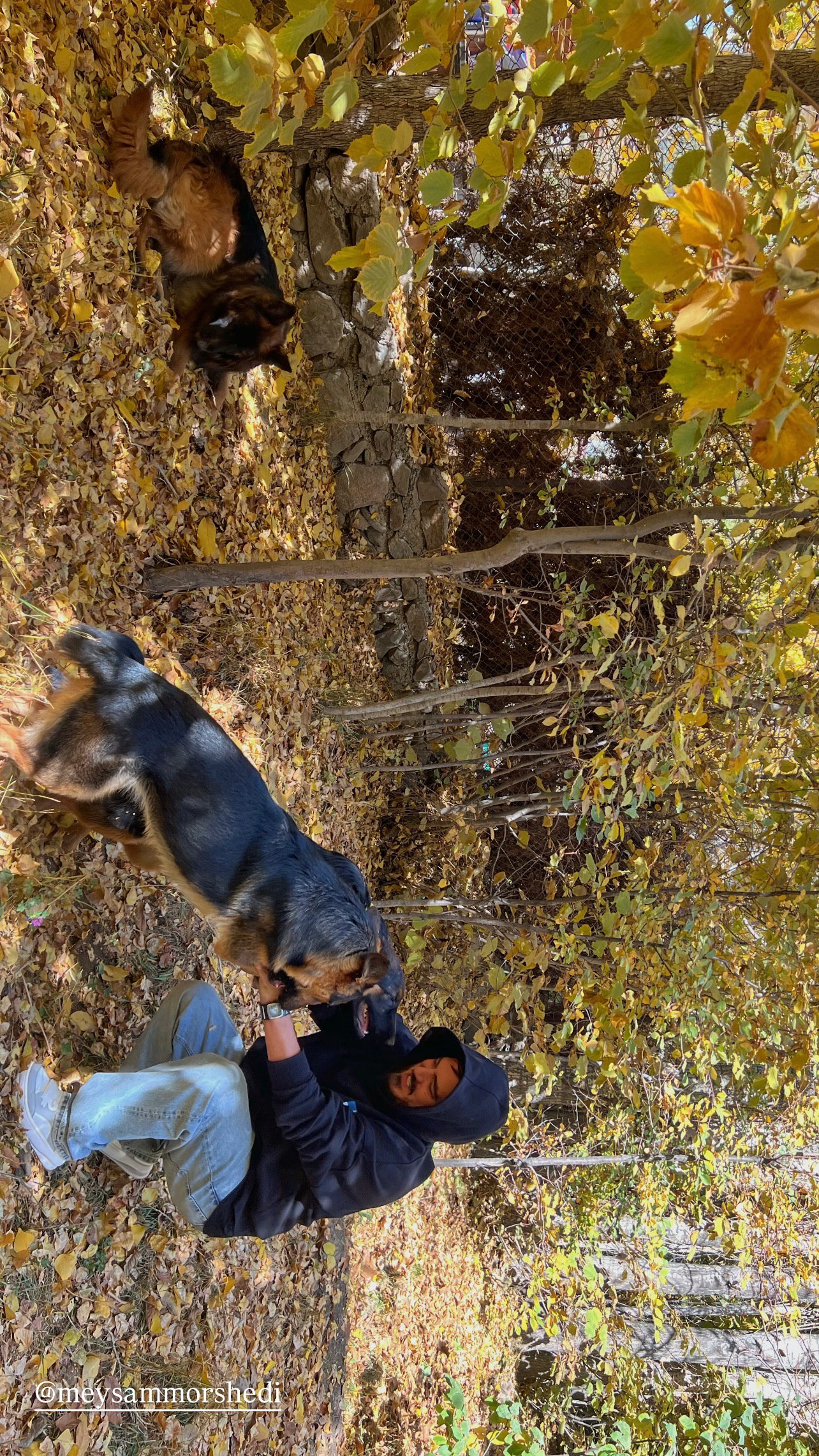 photo_2025-11-01_11-55-44