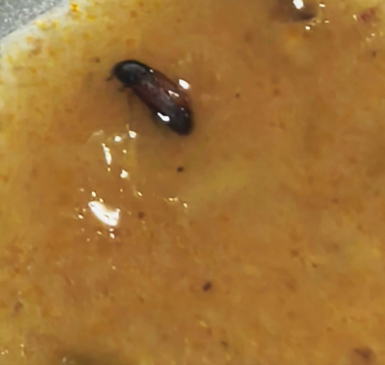 photo_2025-12-15_19-52-40