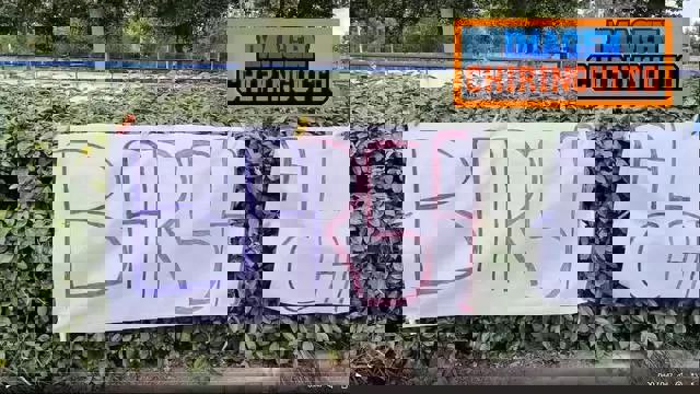 gxf10ngq6