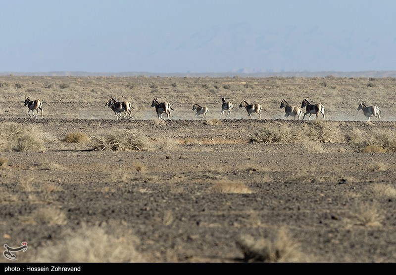 140408101216372934541454