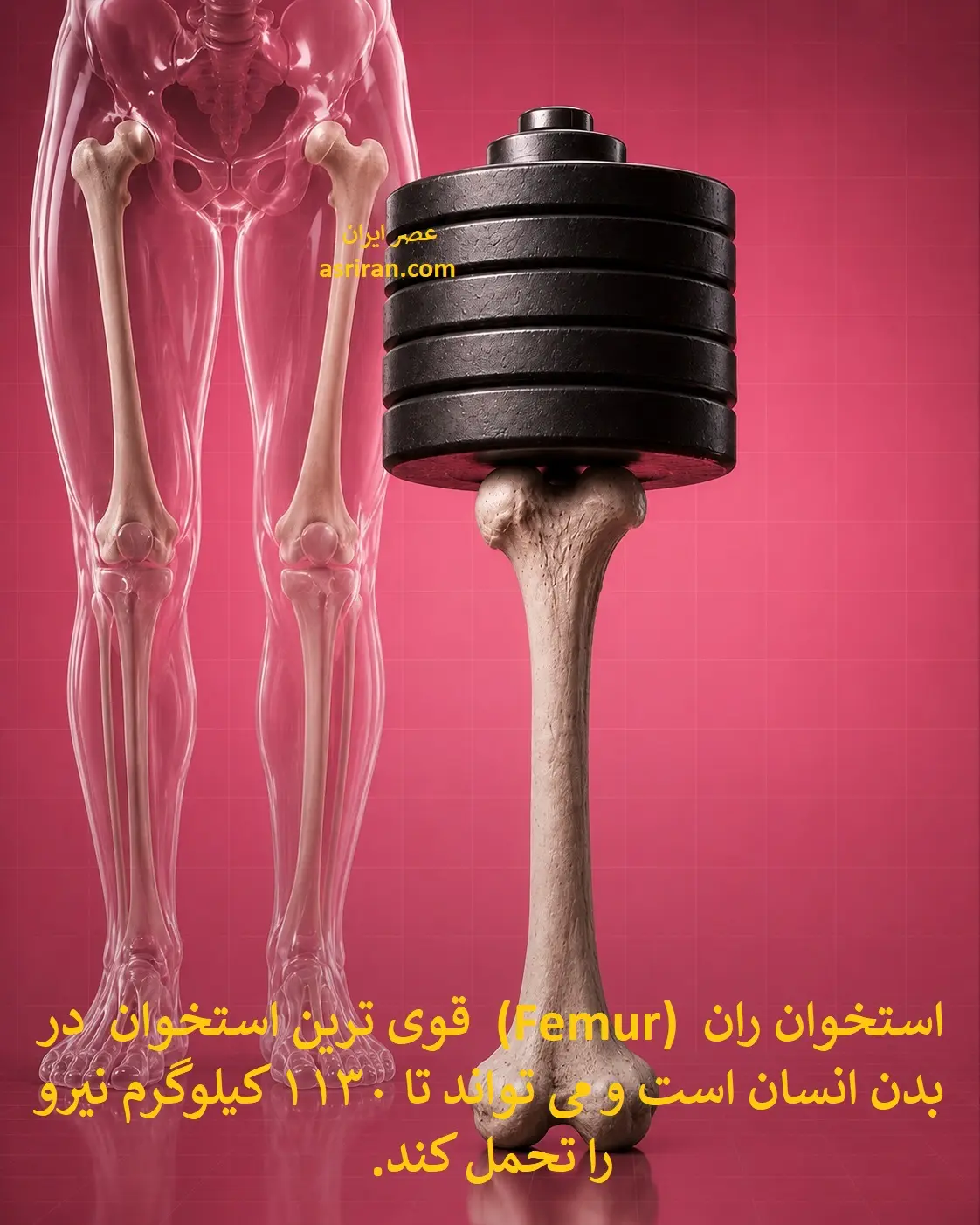 0e2e11abZjoyNTcyMzA3LmpwZ3xmdWk6MjQ1ODc0NXxsOmZhfHY6MQ (1)