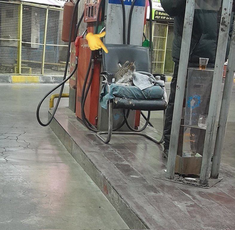 photo_2025-12-30_22-27-22