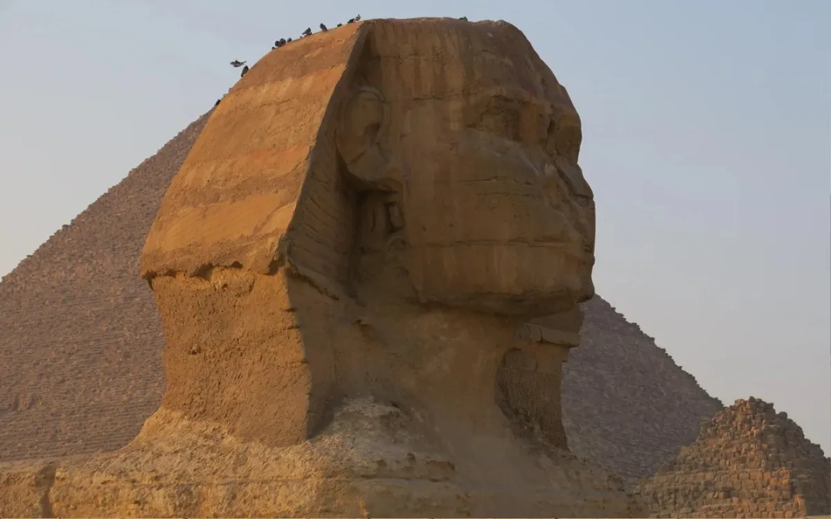 bought-a-camera-off-an-auction-12-68ff8560d829d3e43f046c6b_11zon