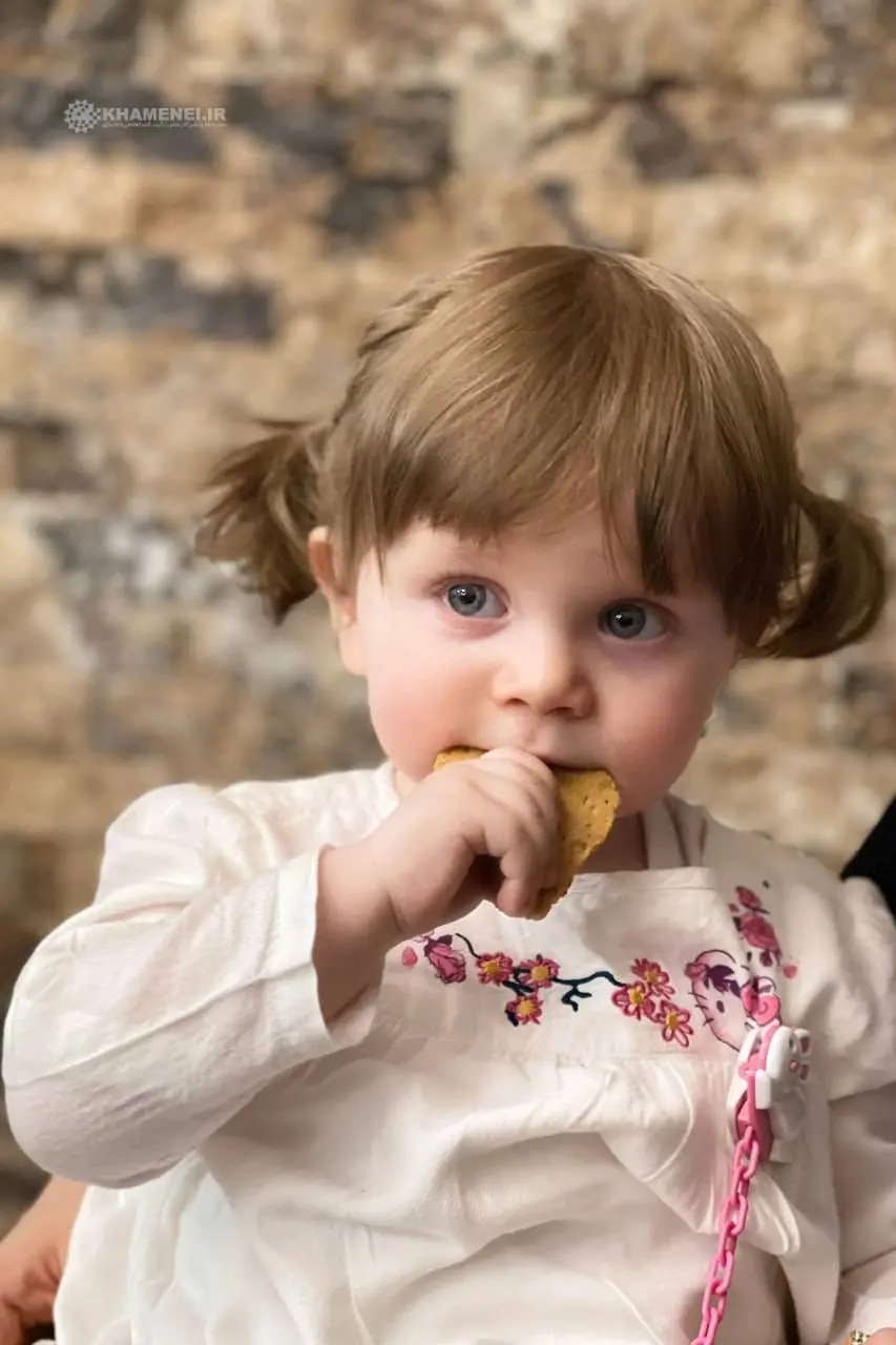 fecce1b0-58f3-4f7c-a1a7-352fc23592d6