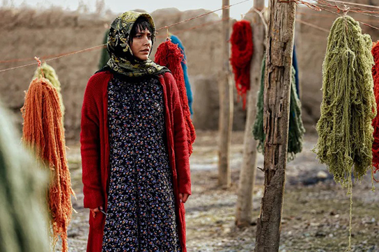 سایتچ