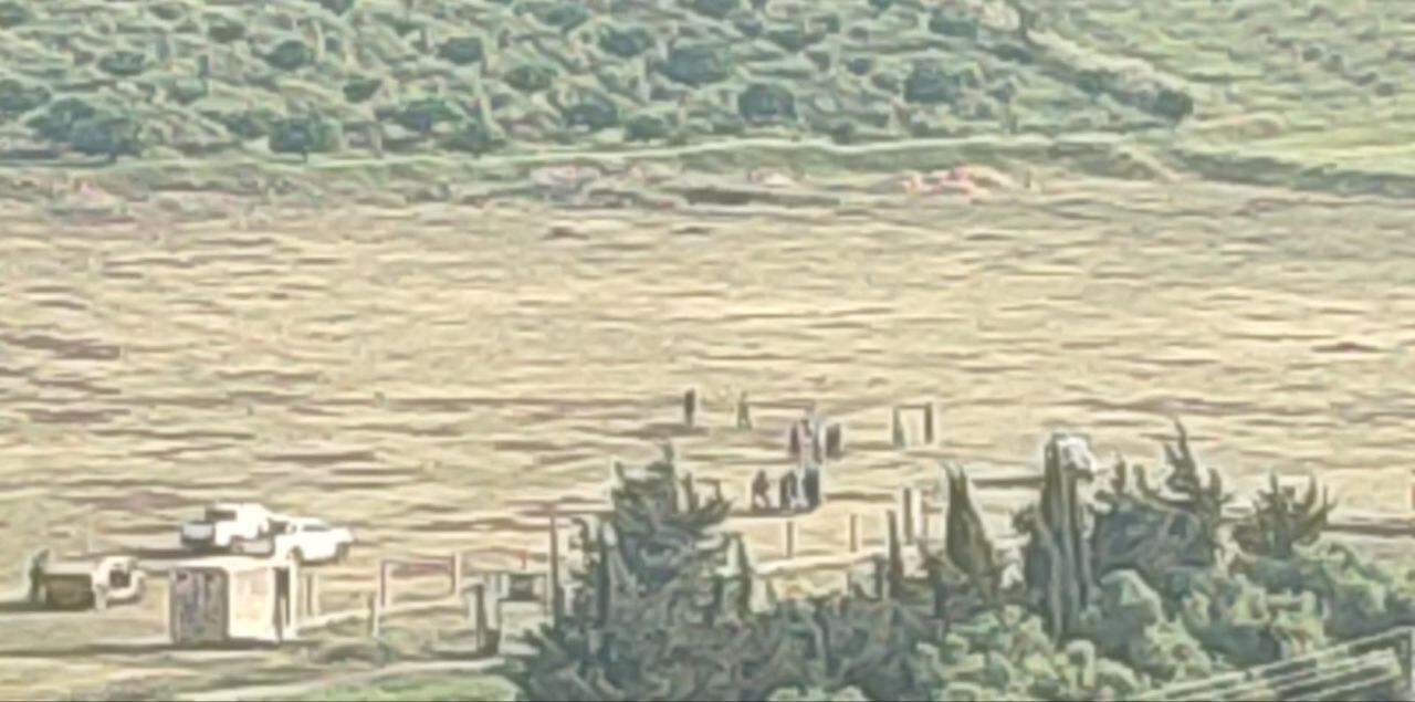 1973369_561