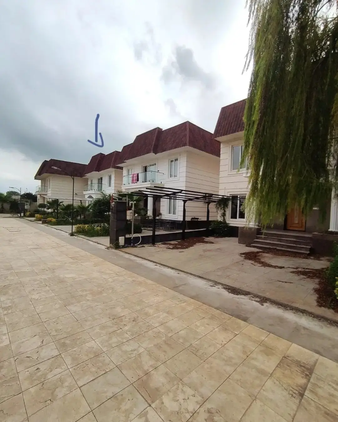 photo_2026-10-04_18-39-20