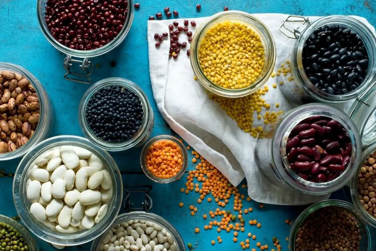 بهترین+پروتئین_های+گیاهی