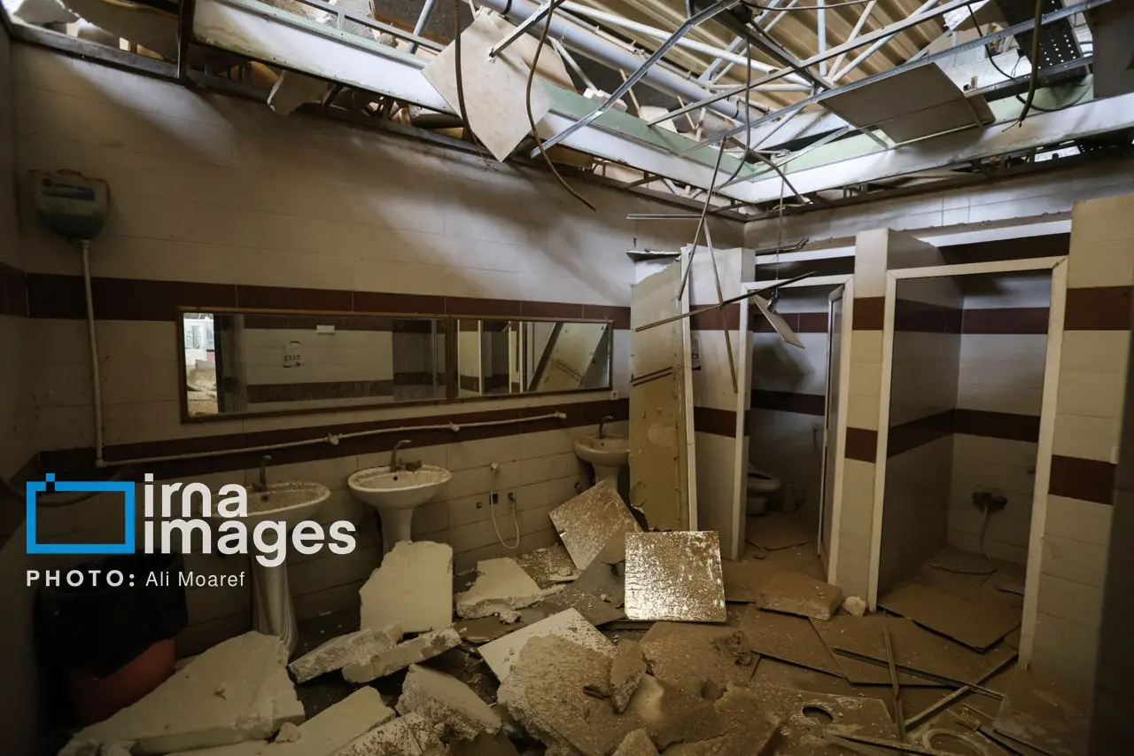 photo_2026-04-05_16-36-13 (2)