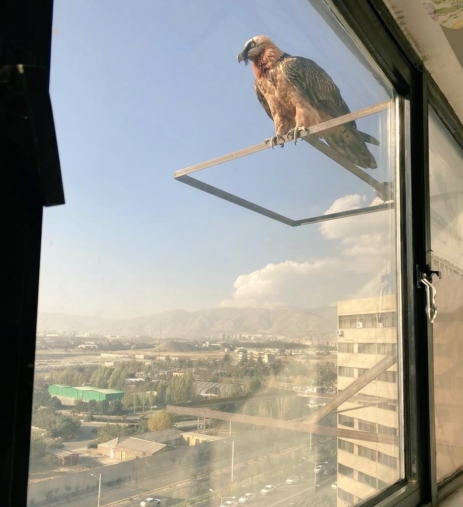 photo_2025-11-28_18-36-59