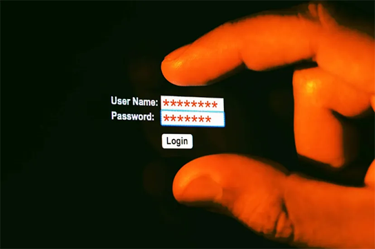 password-to-chip-692a7d13d80f533975311bc4_11zon