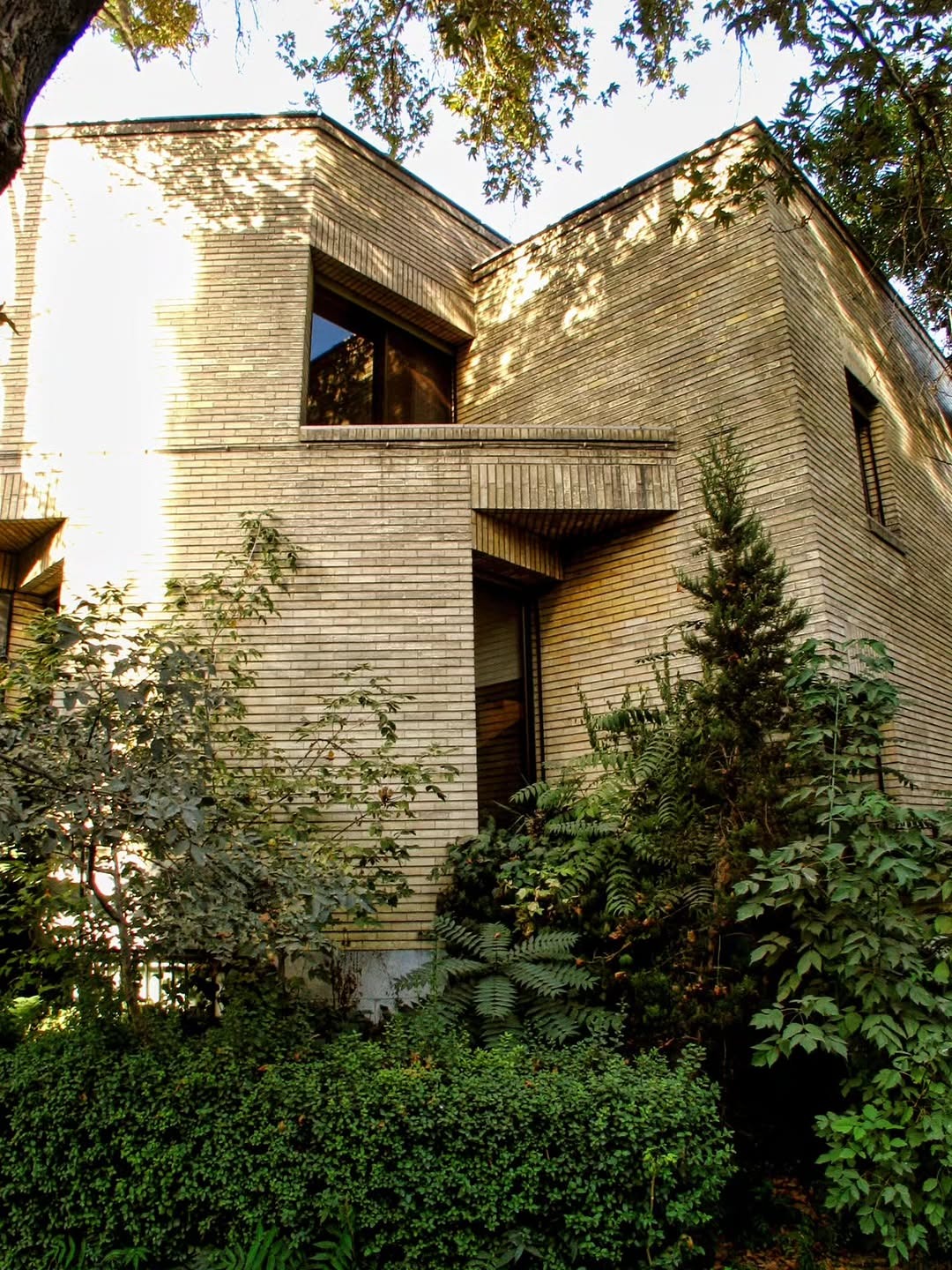 photo_2025-12-24_14-33-18 (2)_11zon