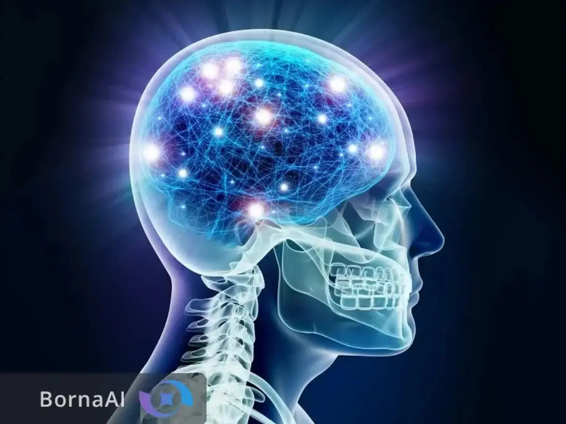 InShot_20260204_004156030