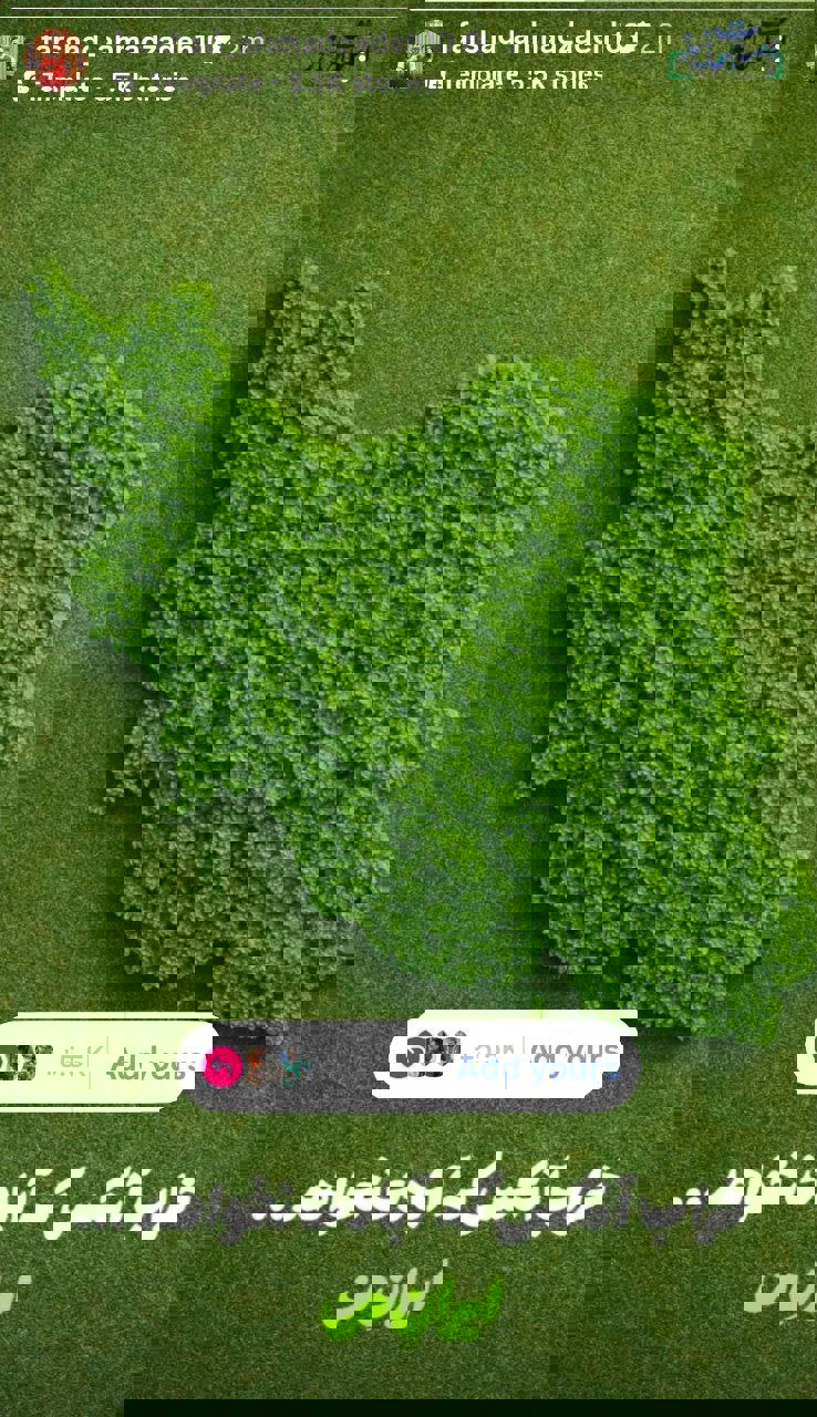 oesipupx8
