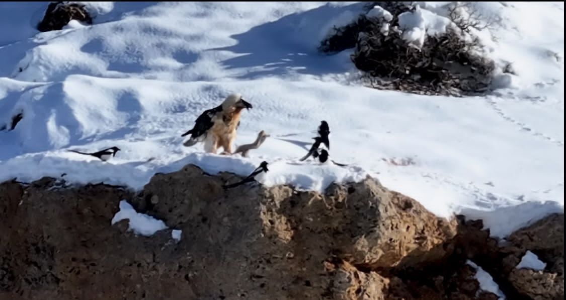 photo_2025-12-26_14-37-43