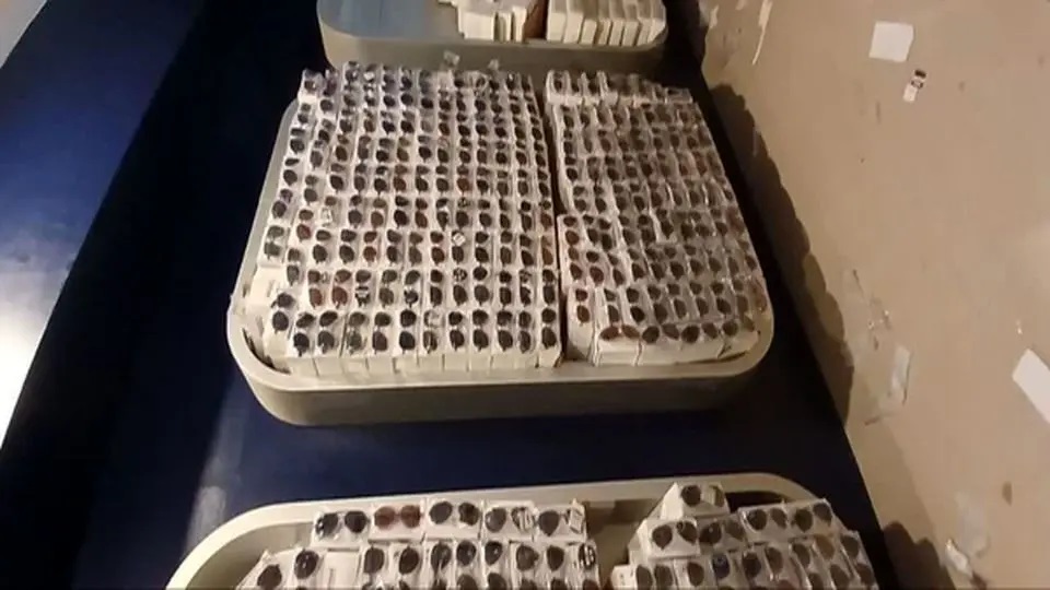 258741