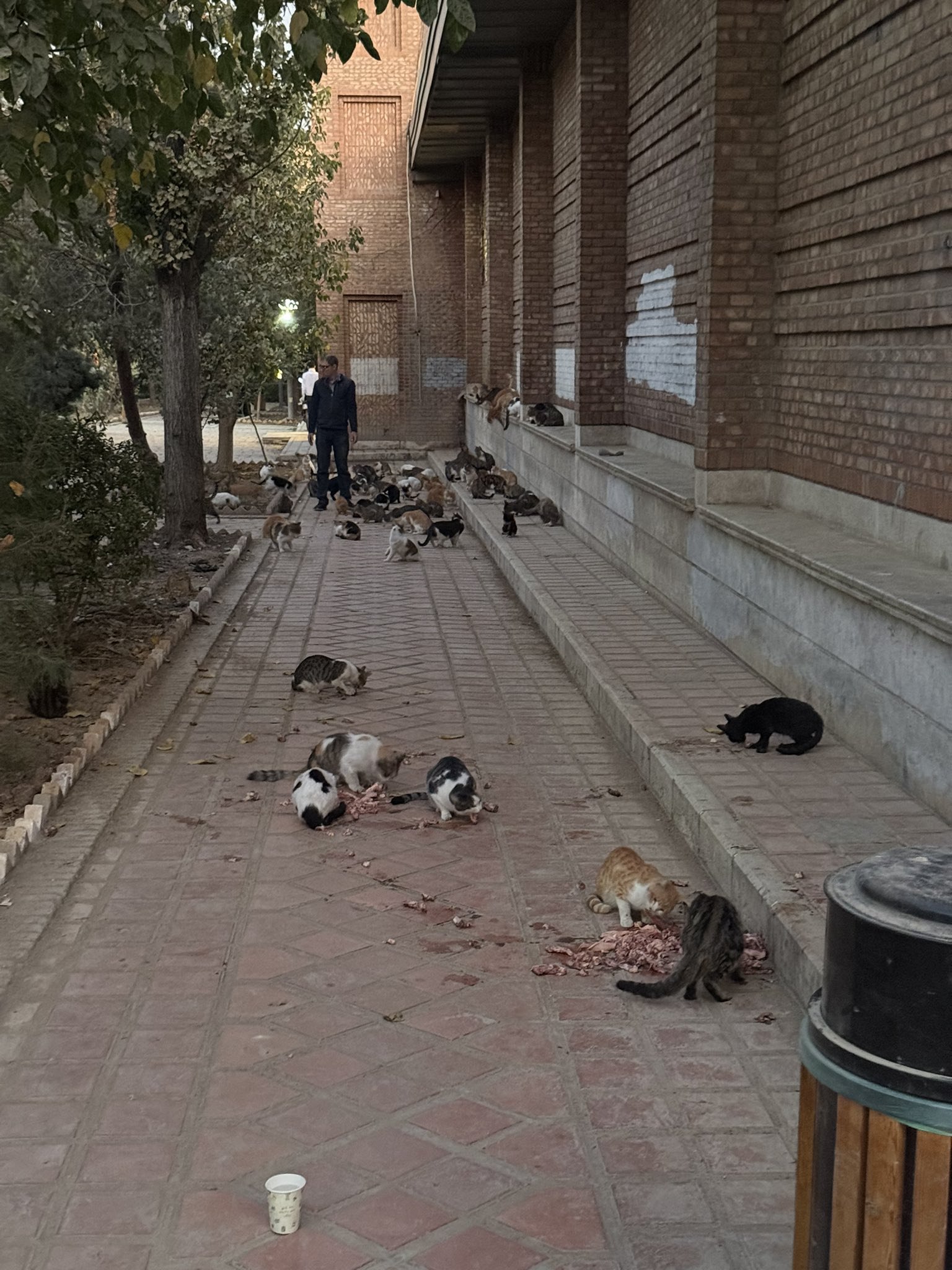 photo_2025-11-11_11-52-30