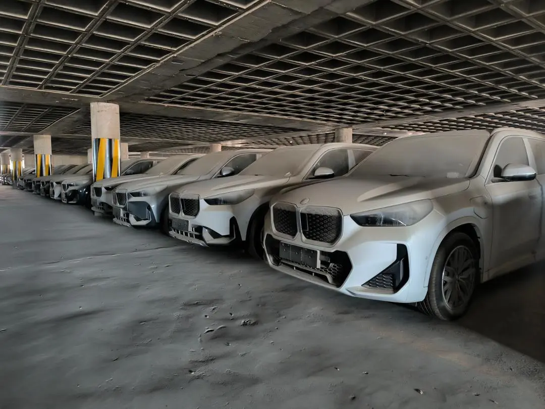 photo_2026-02-25_18-03-03