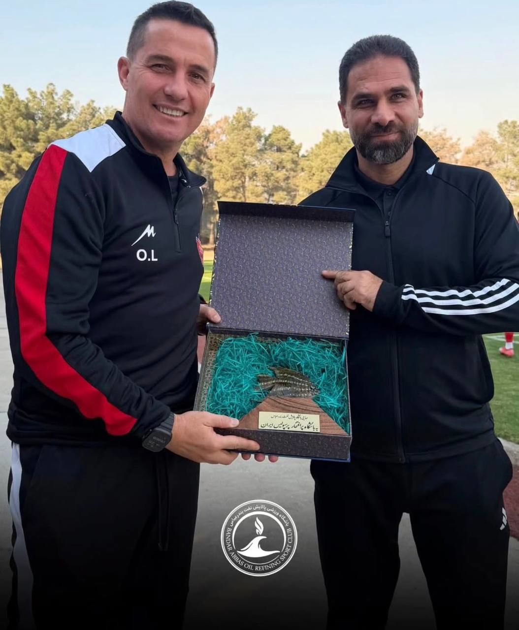 IMG_20251122_175952_455