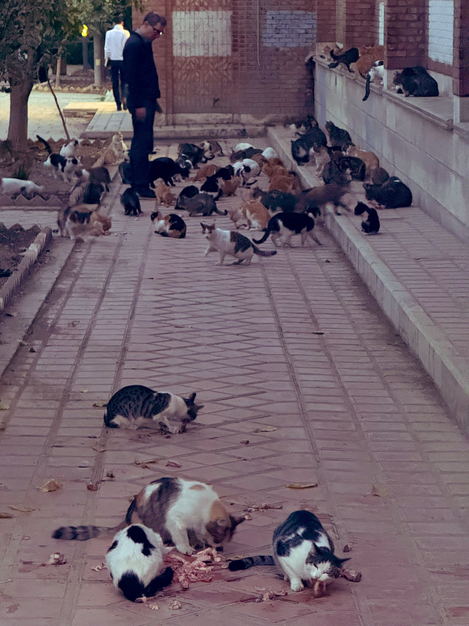 photo_2025-11-11_11-52-32