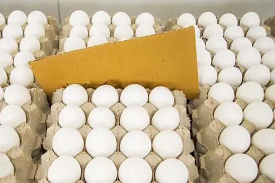 قیمت تخم مرغ