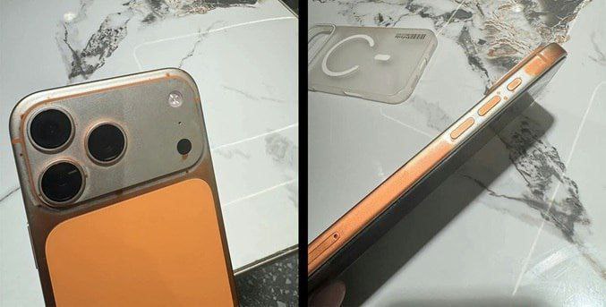 photo_2025-11-17_10-04-50