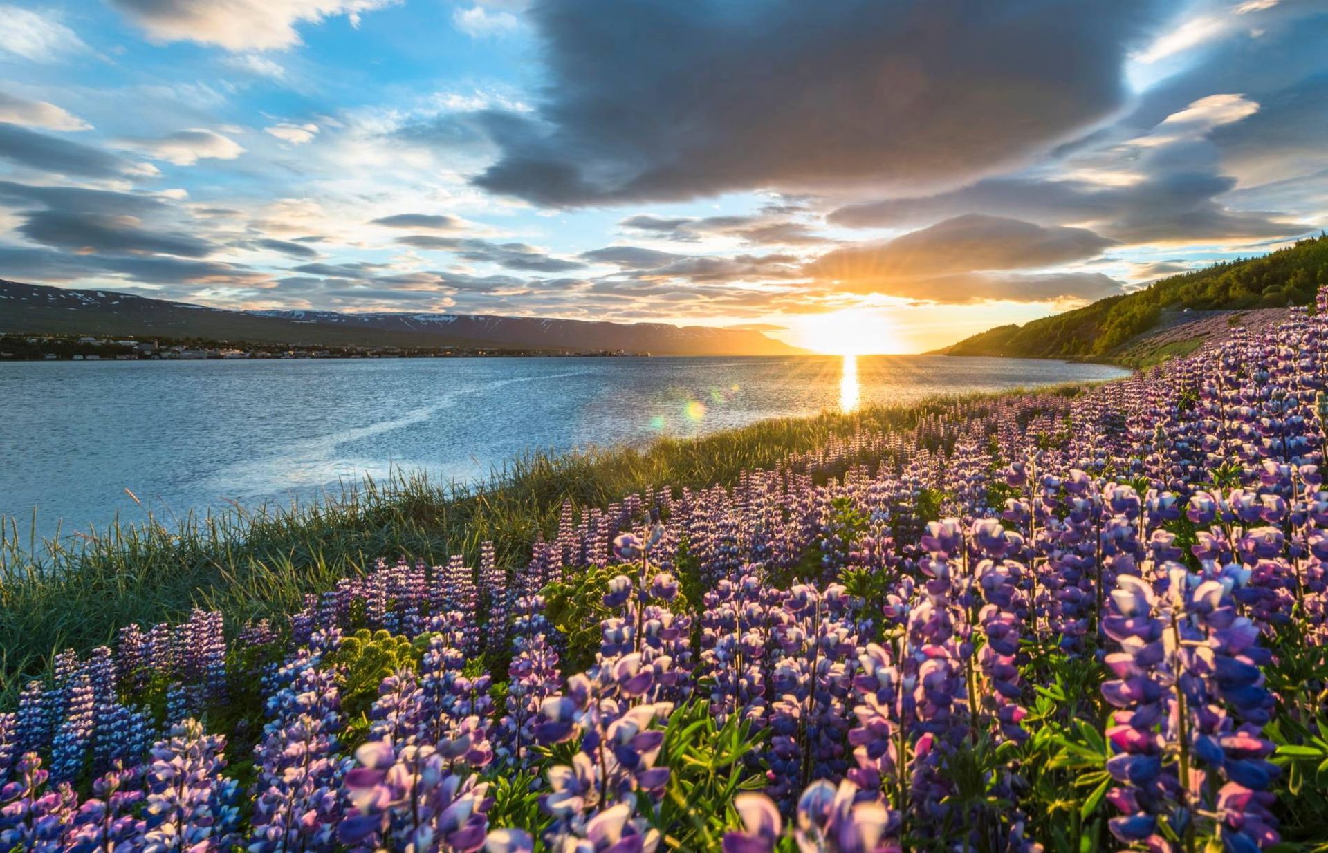 iceland-68f8ebf8b2559db5eb000375