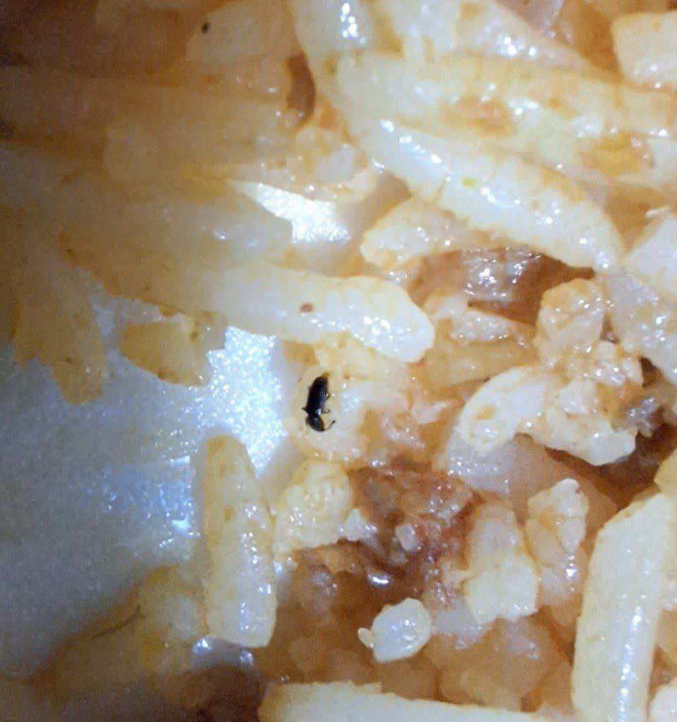 photo_2025-11-10_10-34-01